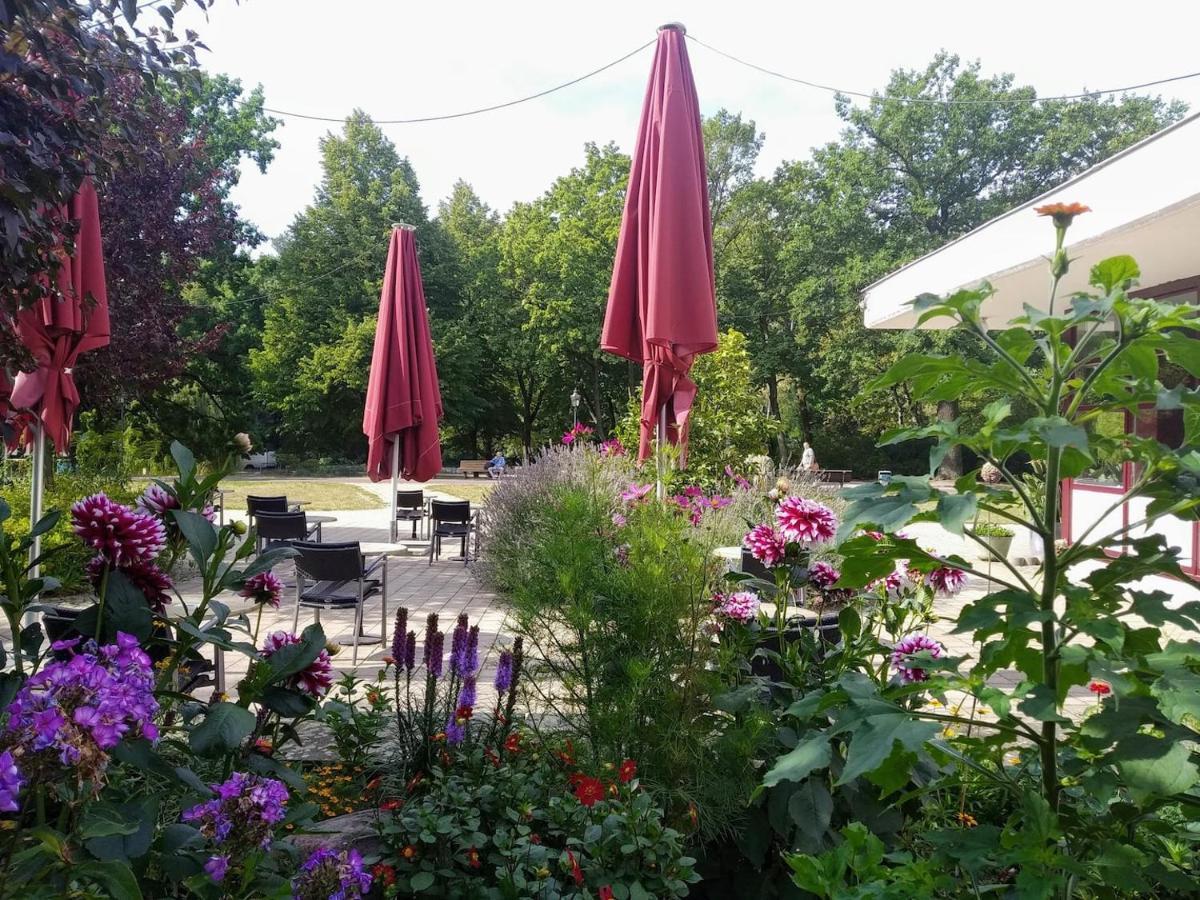 Cozy Studio In Friedrichshain, 4 Quiet Guests Only Berlin Exteriör bild